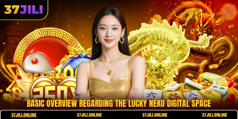 Basic overview regarding the Lucky Neko digital space