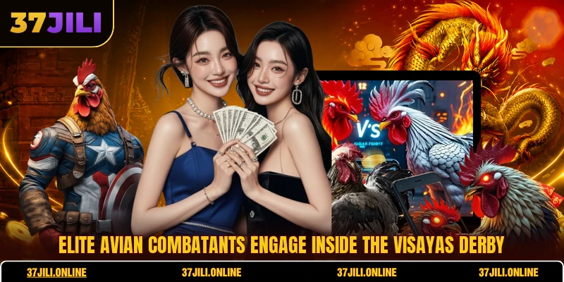 Elite avian combatants engage inside the Visayas Derby