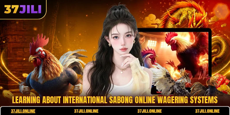 Learning about International Sabong online wagering systems