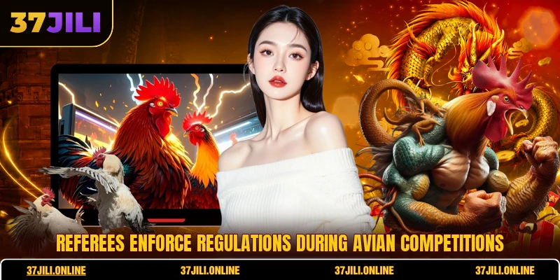 Referees enforce regulations during avian competitions