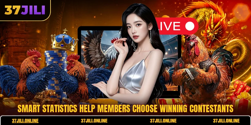 Cockfighting Derby - Ultimate Guide To Online Matches 7 Smart statistics help members choose winning contestants